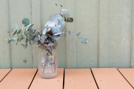 Eucalyptus leaves in glass jar on brown decking against rustic green external wallの写真素材