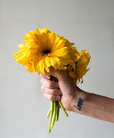 Woman's hand and forearm with love tattoo on inside wrist holding bunch of yellow gerberasの写真素材