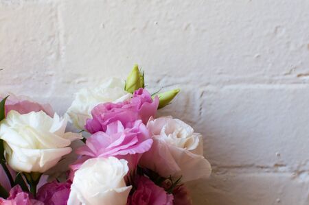 Pink and white lisianthus flowers against a white brick wall (cropped)の写真素材