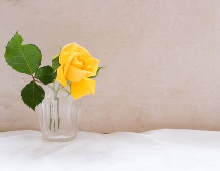 Yellow rose in small glass on white tablecloth against limestone background  (selective focus)の写真素材