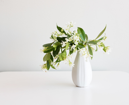 Star jasmine in small white vase on table against neutral backgroundの写真素材