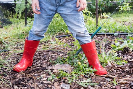 Cropped view of child in red gumboots and denim jeans in garden (selective focus)の写真素材
