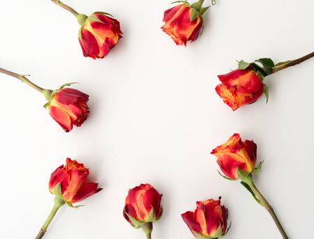 High angle view of red and orange roses arranged in a circle on a white table - nature backgroundの写真素材
