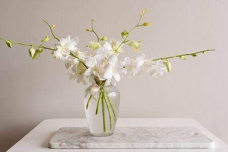 White orchid in glass vase on marble chopping board on white tableの写真素材