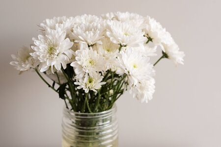 Close up of white chrysanthemums in glass jar against neutral background (selective focus)の写真素材