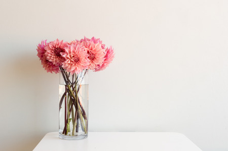 Bright pink dahlias in tall glass vase on white table against neutral background with copy space to rightの写真素材