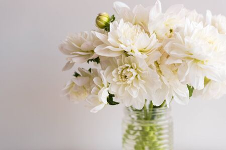 Close up of white dahlias in glass jar against neutral background (selective focus)の写真素材