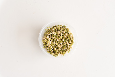 High angle view of mung bean sprouts on white tableの写真素材