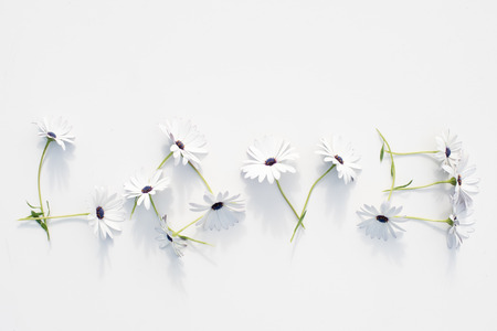 High angle view of white daisies arranged to say LOVE on white background with shadowsの写真素材