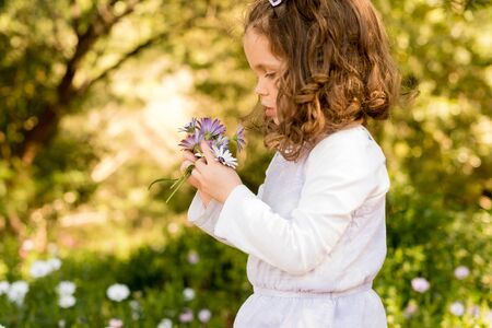 Profile half length view of little girl holding bouquet of purple and white daisies in garden (selective focus)の写真素材