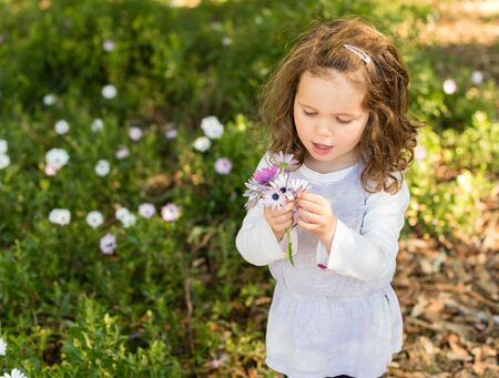 Little girl holding bouquet of white and purple daisies in field (selective focus)の写真素材