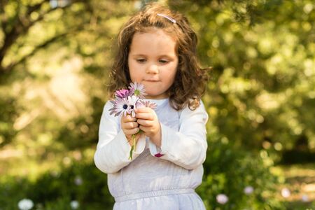Half length view of little girl holding bouquet of purple and white diaisies (selective focus)の写真素材