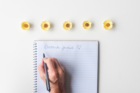 Directly above view of woman's hands holding black pen above spiral notebook gratitude journal on white table with yellow everlasting daisies.の写真素材