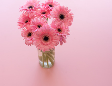 High angle view of pink gerbera daisies in glass jar against pink background (selective focus)の写真素材