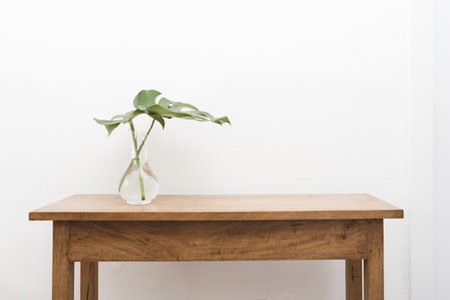 Monstera plant leaves in glass vase on oak wooden table against white wallの写真素材
