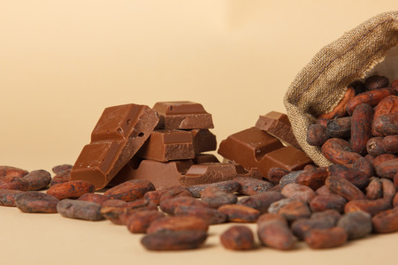 Bag with aromatic cocoa and chocolate. Close up.の写真素材