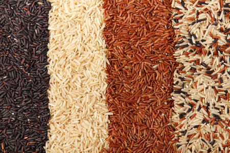 Background of the four types of rice. Black, white, red, mixed. Natural products. Healthy food.の写真素材