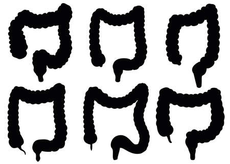 The large intestine of a person in the set.のイラスト素材