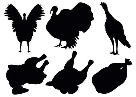 Turkey and turkey carcass set. Vector image.のイラスト素材