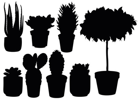 Indoor flowers in a pot in a set. Vector image.のイラスト素材