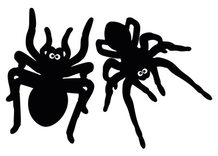 Funny spiders tarantulas with eyes.のイラスト素材