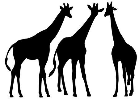 Giraffes in the wild set. Vector image.のイラスト素材