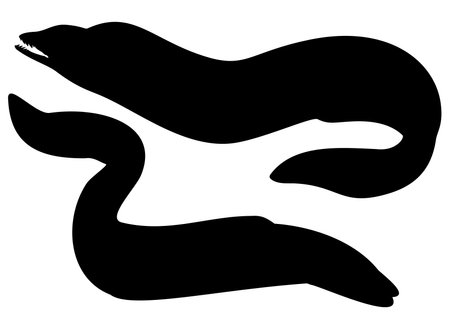 Eel fish in the set. Vector image.のイラスト素材