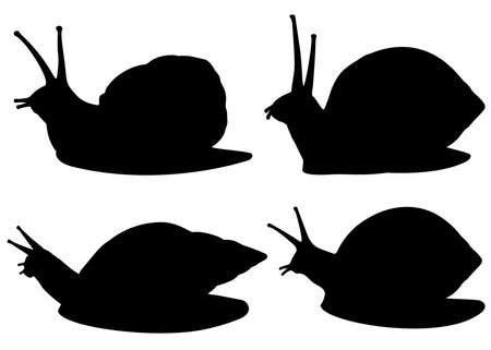 Large and small snails with antennae included.のイラスト素材