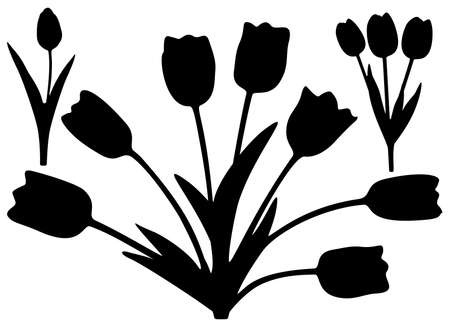 Flowers tulips in the set. Vector image.のイラスト素材