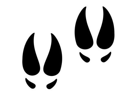 Large wild boar footprint. Vector imageのイラスト素材