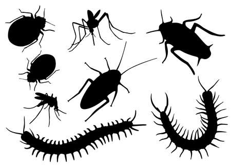 Insect pests in the set. Vector image .;のイラスト素材