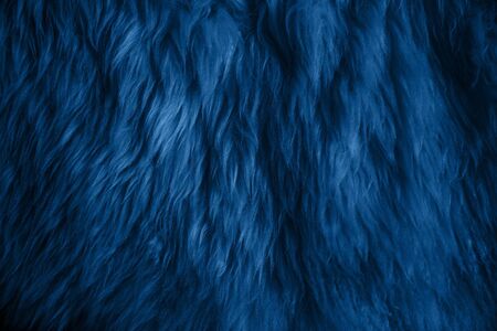 Close up of a blue sheepskin rug as a backgroundの写真素材