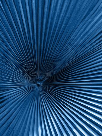 Creative and moody color blue foliage natural floral leaf texture background.の写真素材