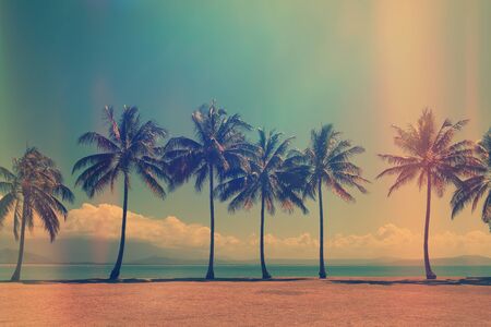 Palm trees on the ocean beach with the clouds on the sky. Old film light leaks.の写真素材