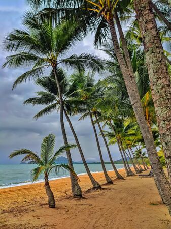 Palm trees on the tropical ocean beach with the clouds on the sky.の写真素材
