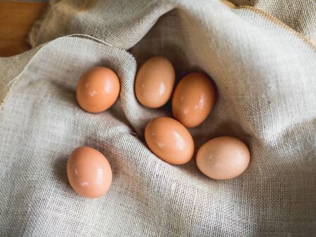 Brown fresh eggs in sack with lights, Easter conceptの写真素材