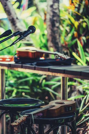 Guitars and microphones in the garden, musician instruments, outside concertの写真素材