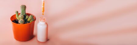 Prickly pear cactus in orange pot and oil serum with a drop falling into the bottle. Panorama banner with free space for text.の写真素材
