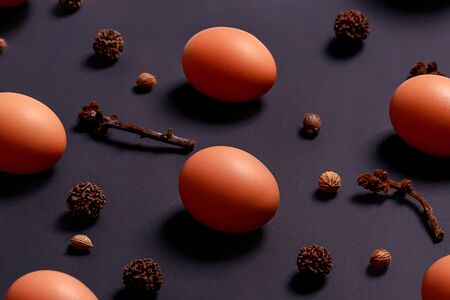 Pattern made of natural brown eggs, dry tree cones and seeds on dark background. Minimal food and Easter concept.の写真素材