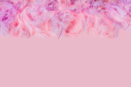 Soft and gentle pink and violet feathers boa on background with free copy space for text.の写真素材