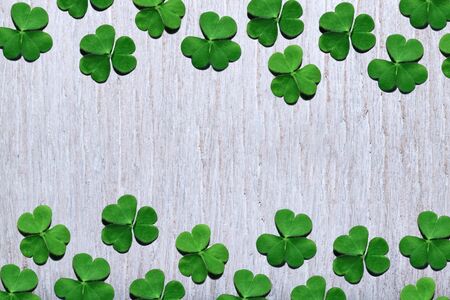 Pattern of shamrock leaves on shabby white wooden background with free copy space. St. Patrick's Day, selective focus.の写真素材