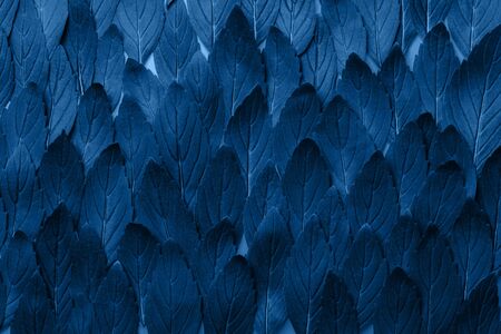Green mint leaves pattern layout design. Ecology natural creative concept. Top view nature...