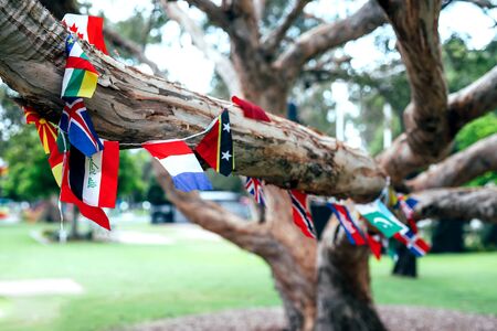 Flags of different countries in the tree. Multicultural network, inclusivity concept.の写真素材
