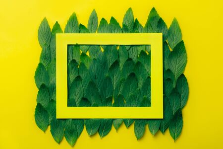 Green mint leaves pattern layout design on yellow background with paper frame on it. Ecology natural creative concept. Top view nature background with spearmint herbs.の写真素材