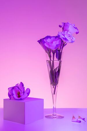 Violet and pink colored picture of flowers in a champagne flute and a gift box. Creative still life.の写真素材