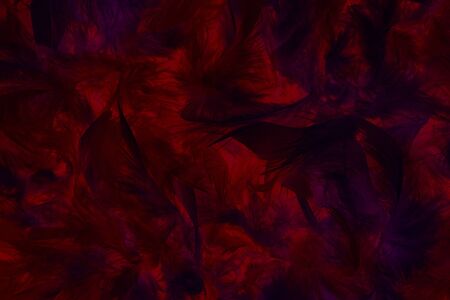 Soft and gentle dark vine red feathers boa background.の写真素材