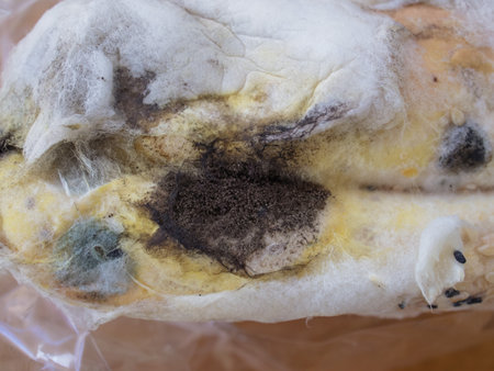 Closeup moldy bun in plastic pack, isolated bread with moldy, fungi textureの写真素材