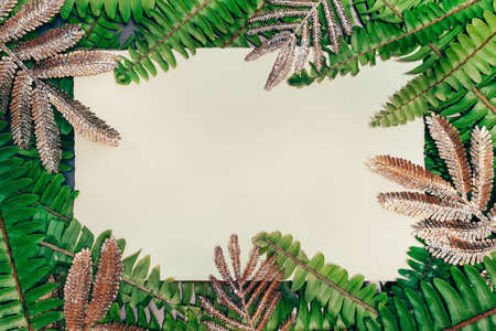 Natural green fern and golden leaves with empty paper card and free copy space.の写真素材