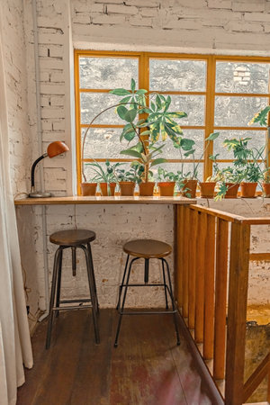 Cozy cafe interior by the window flowers and chairsの写真素材