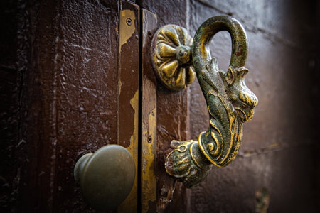 Antique bronze door knocker in the old house in Italy